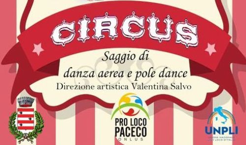 Immagine della notizia Circus: Saggio di danza aerea e pole dance