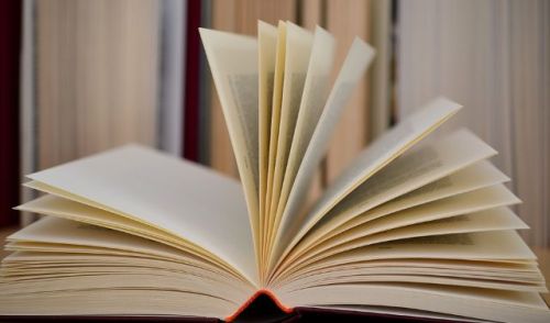 Immagine della notizia Libri, Autori e Bouganville 2024 - 25ª Edizione